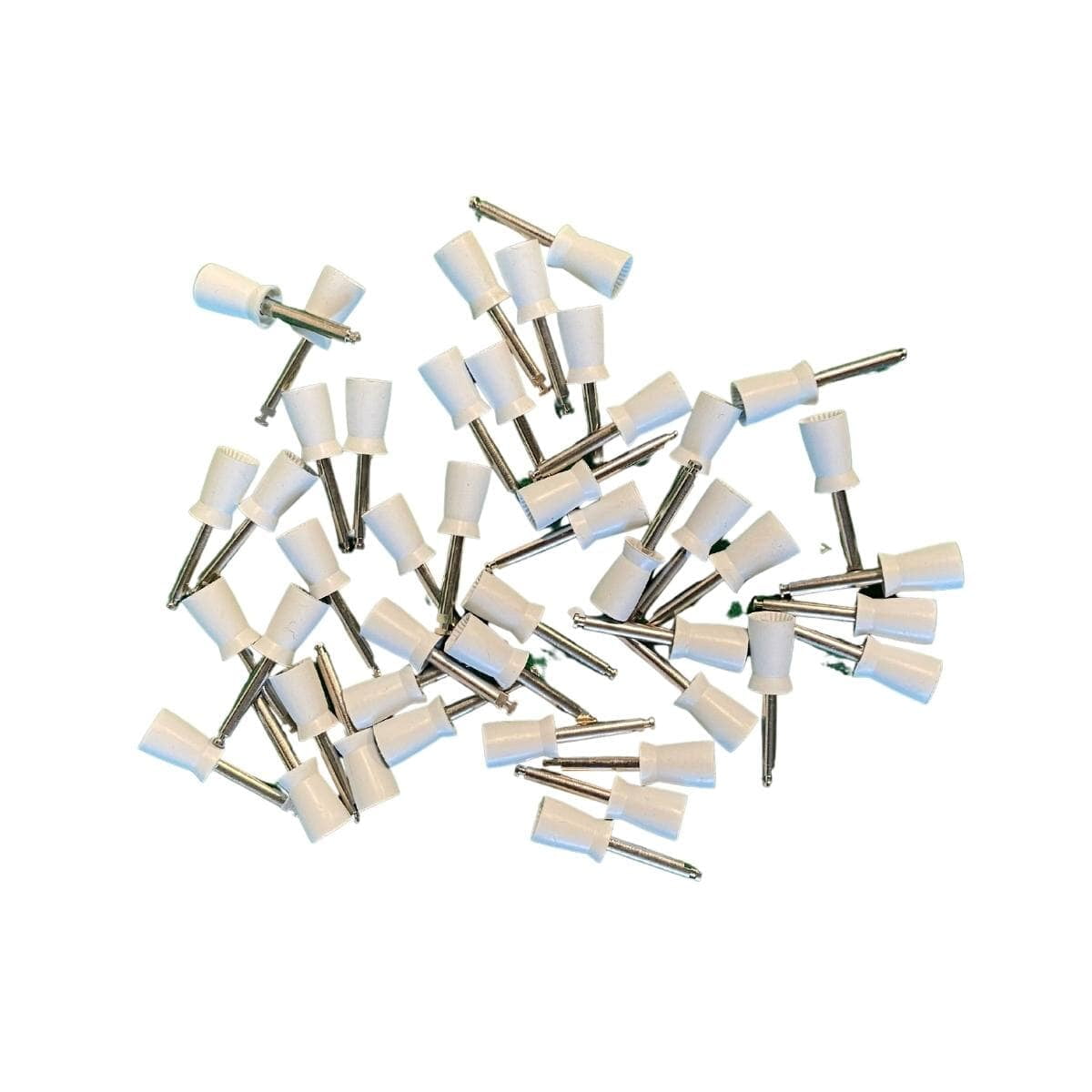 Prophy Latch Type (100/Pkg)